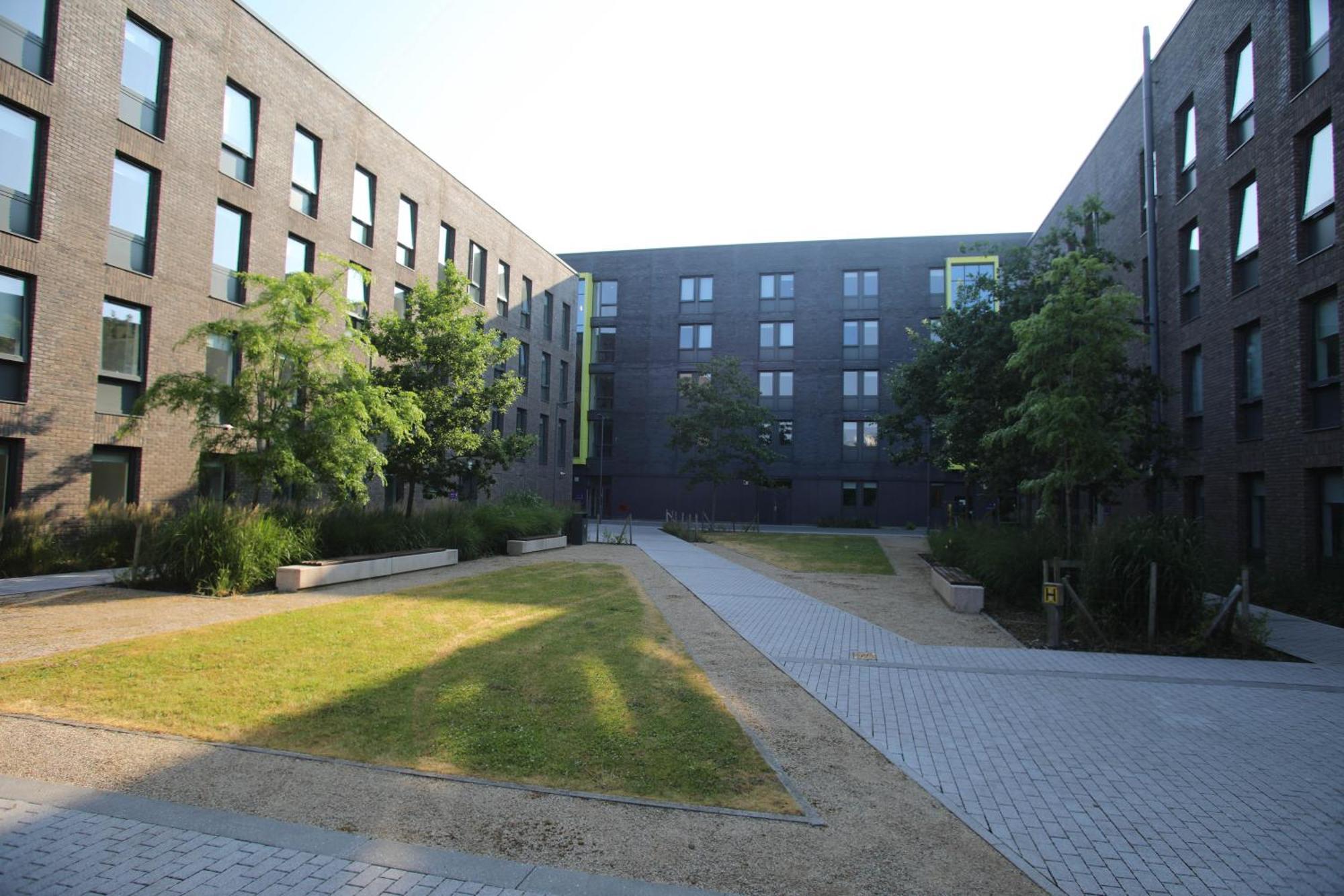 Goldcrest Village Apartments University Of Голуей Екстериор снимка