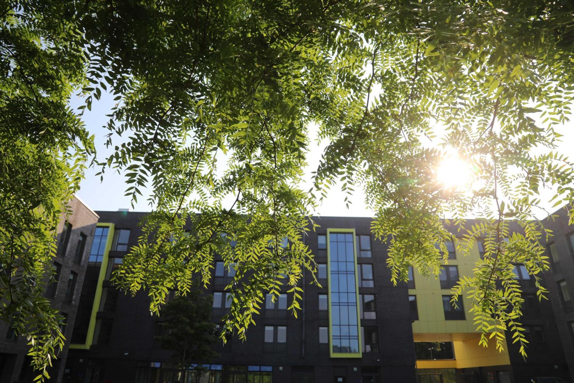 Goldcrest Village Apartments University Of Голуей Екстериор снимка